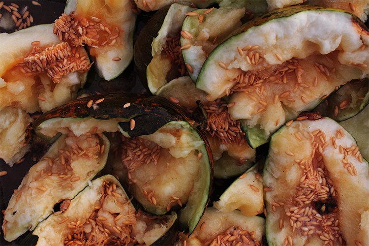 Fragmento de melones