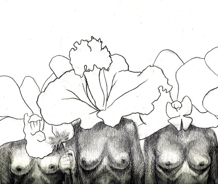 Flores