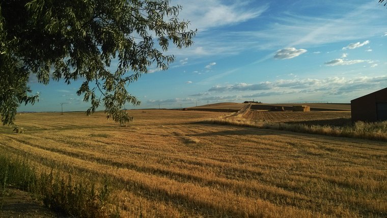 Zamora