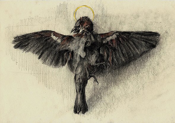 Cadáver pájaro