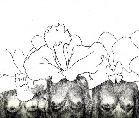 Flores Flores